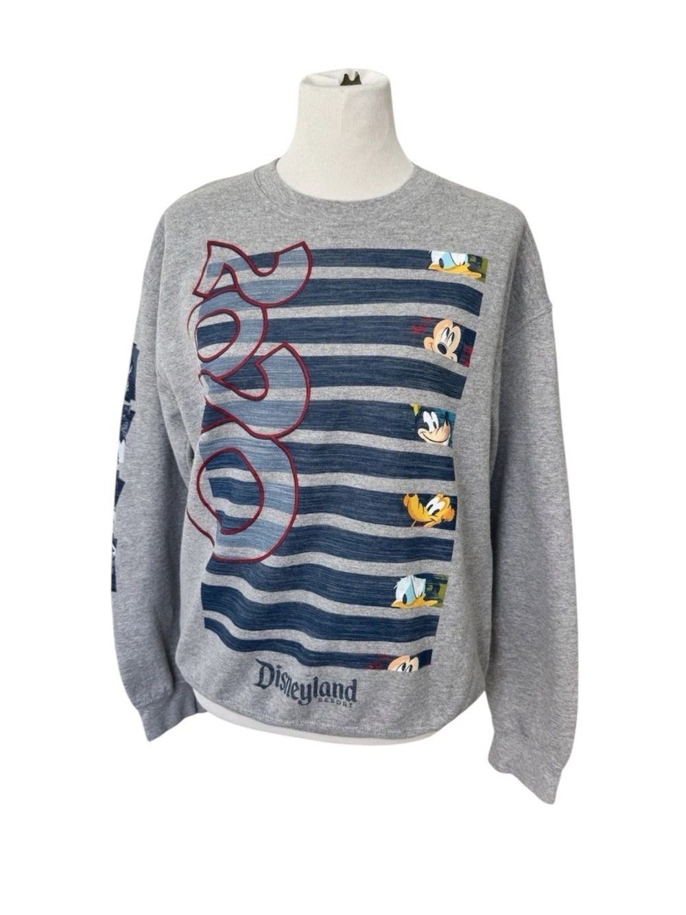 Unisex Disney Rare 2020 Sweatshirt Size L (Park
Closed Due To Covid)